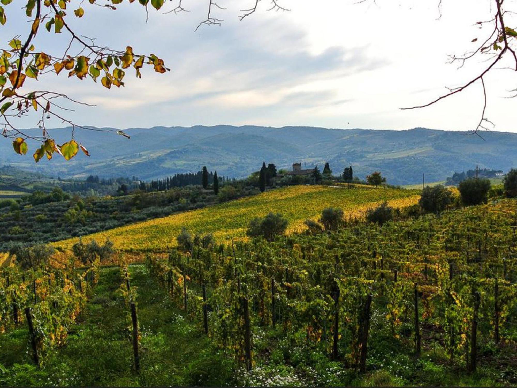Holiday Home La Torre By Interhome Lucolena in Chianti Exteriér fotografie